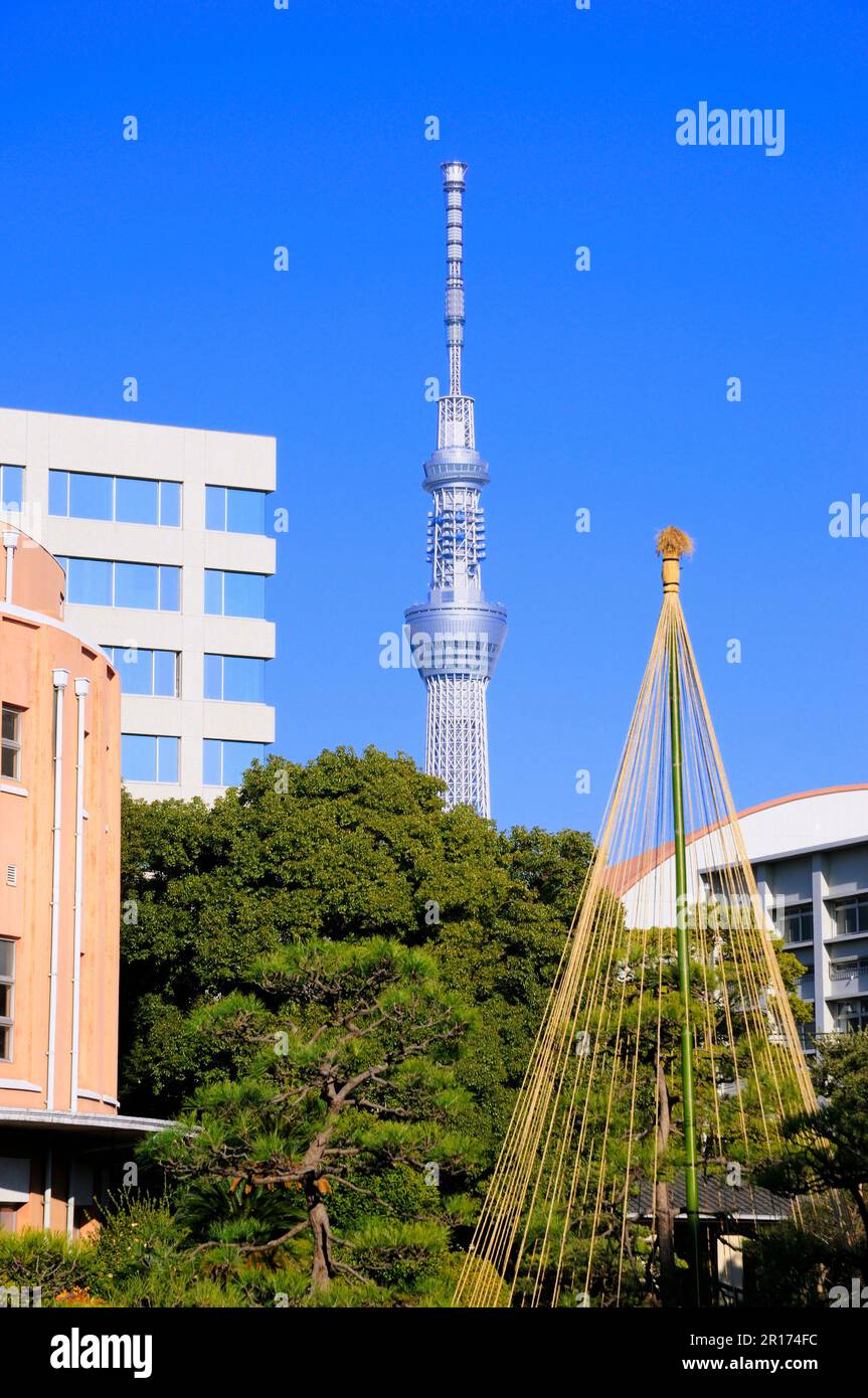 Skytree seen from Kyu Yasuda-tei Garden Stock Photo