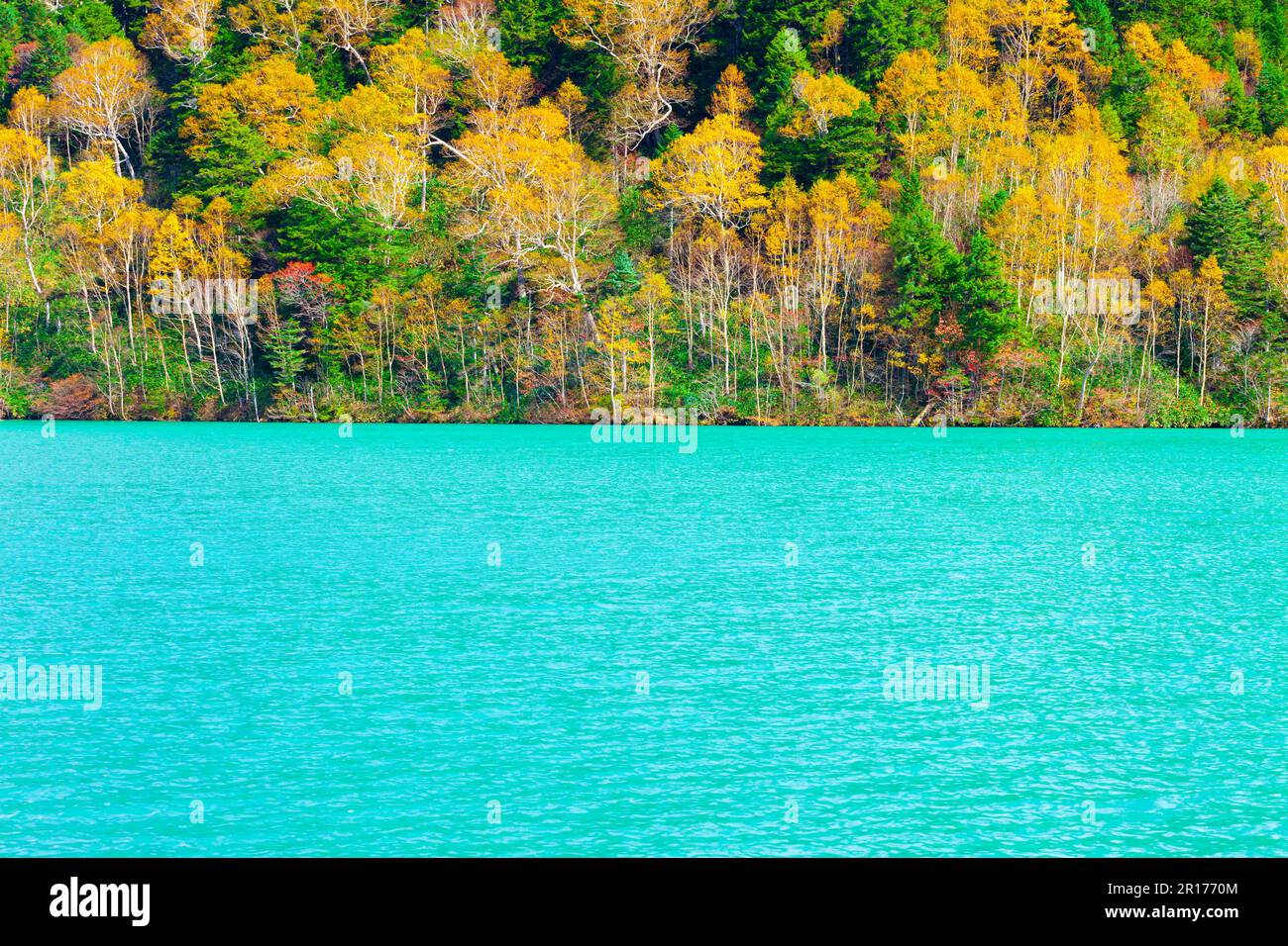 Shiga Kogen Onumaike pond Stock Photo - Alamy