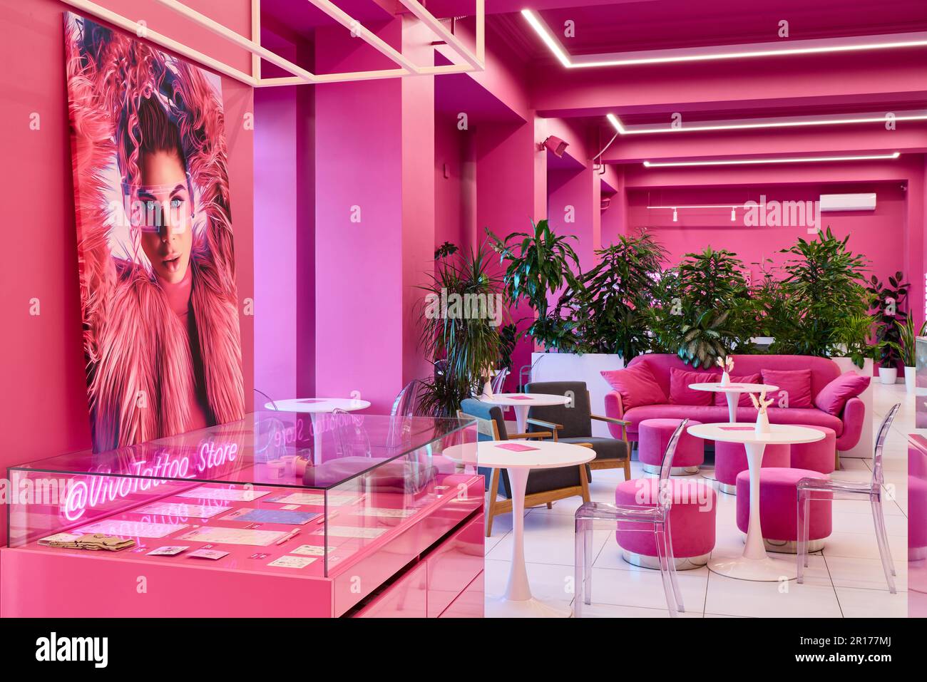Modern pink interior with lots of plants Stock Photo - Alamy