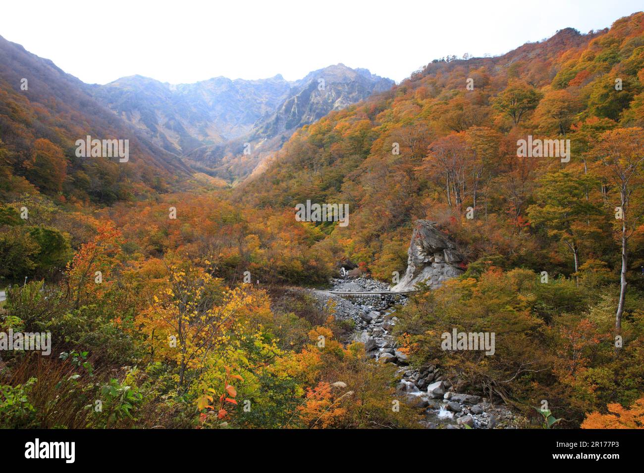 Machiga sawa hi-res stock photography and images - Alamy