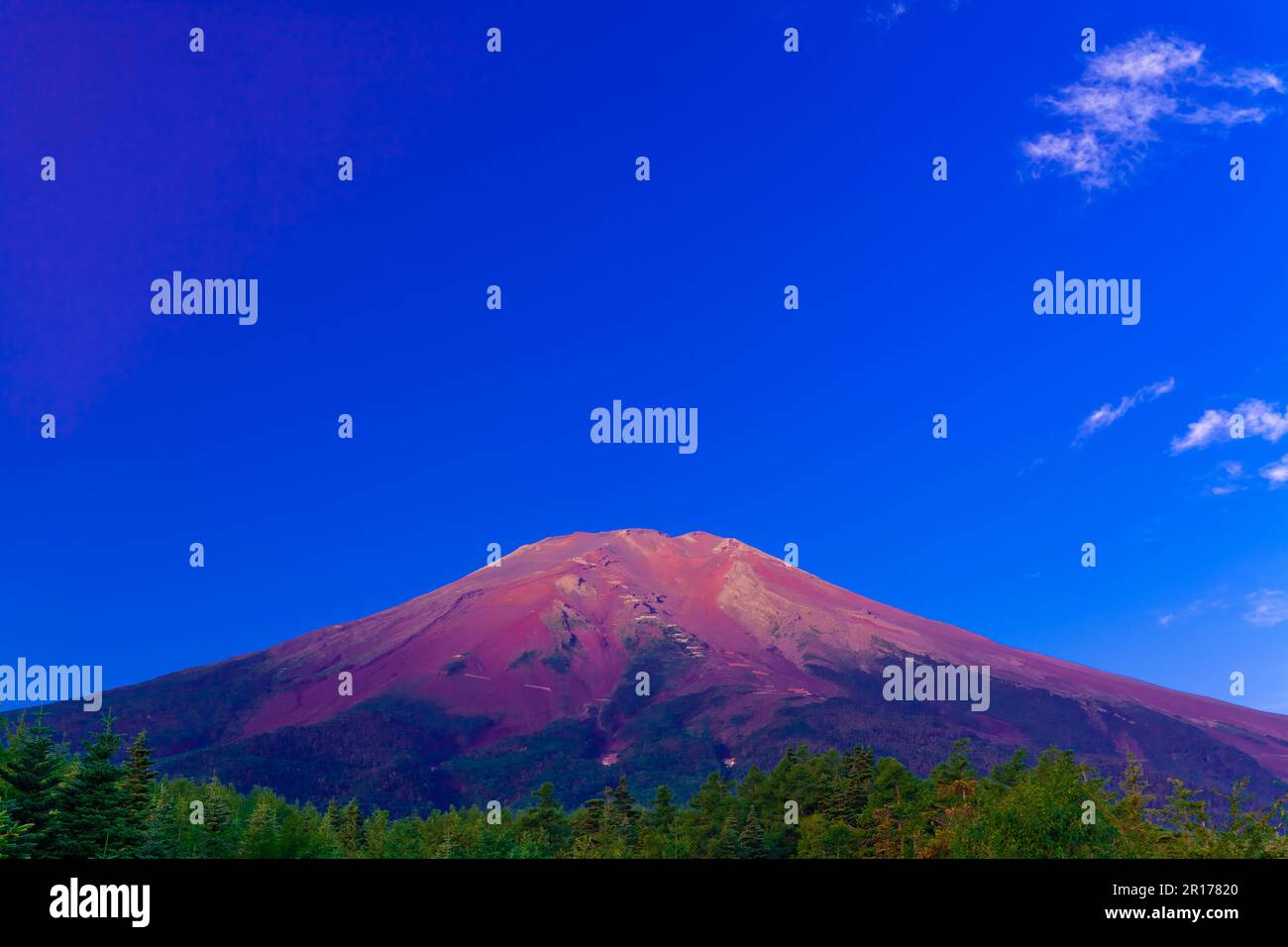 Mount Fuji in summer Stock Photo