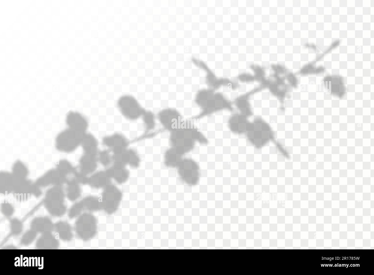 Natural light layout.Realistic shadow tropical leaves and branches on ...