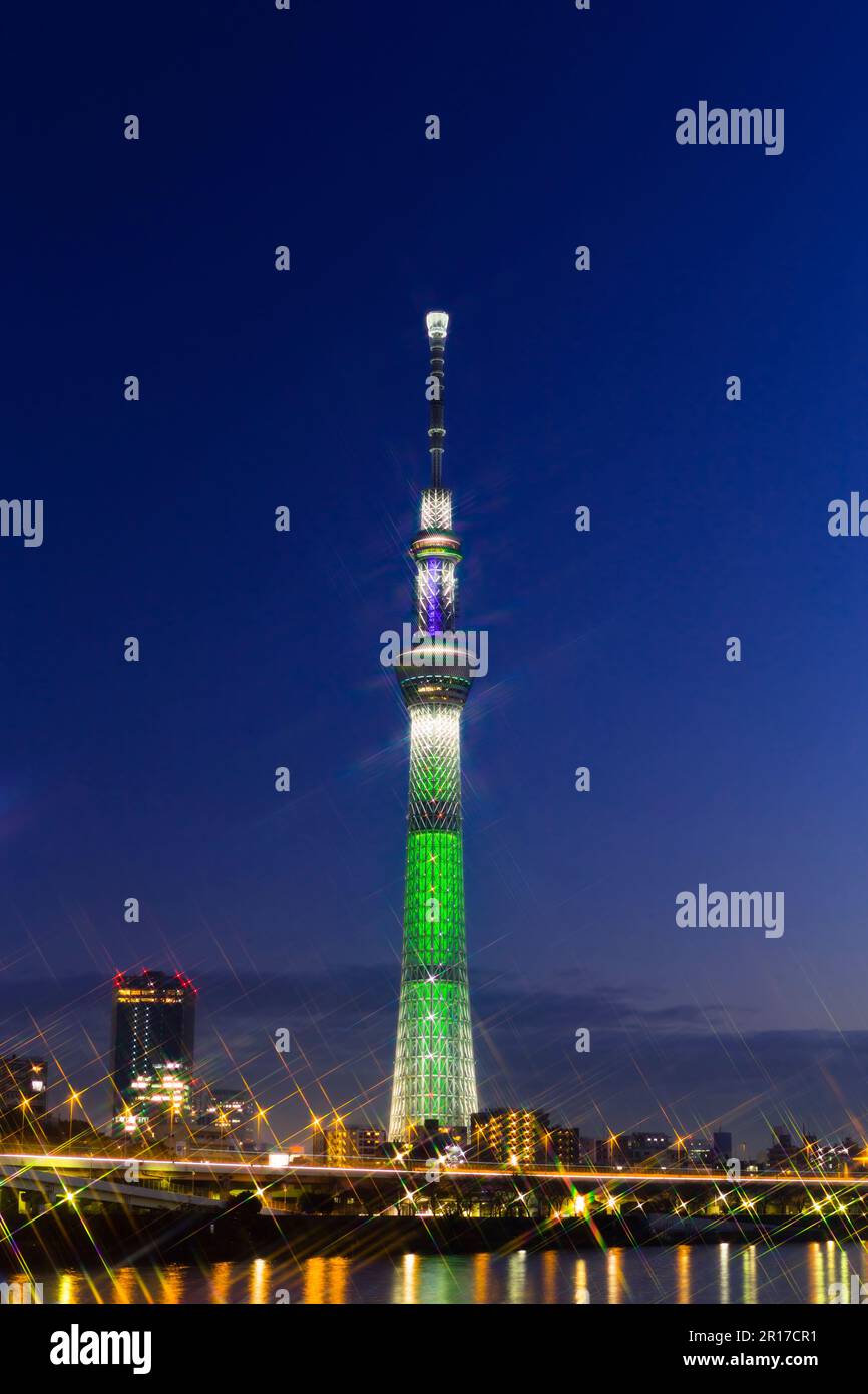 Tokyo Sky Tree Christmas light up champagne tree Stock Photo