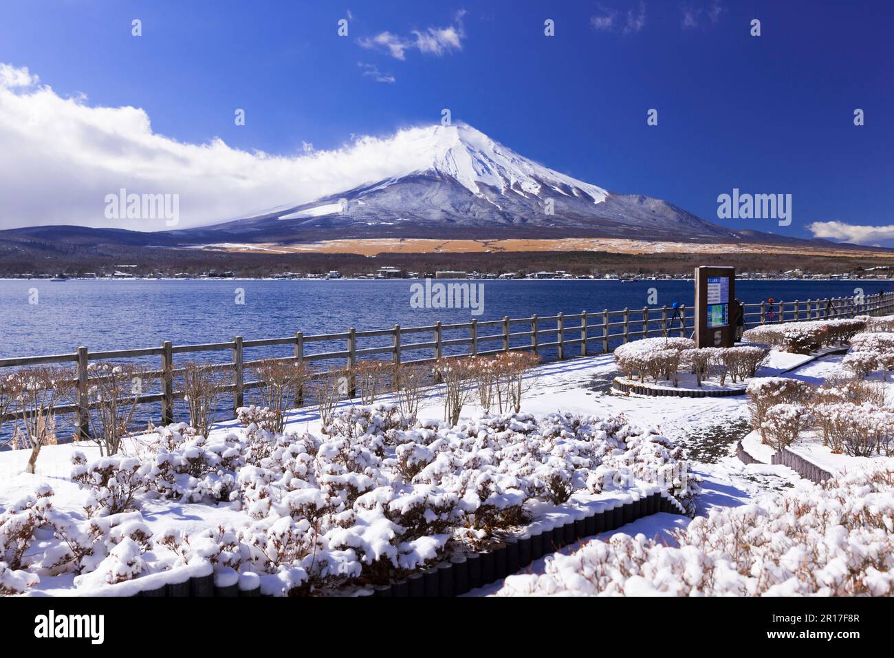 Nagaike Shinsui Park and Mount Fuji in winter Stock Photo - Alamy