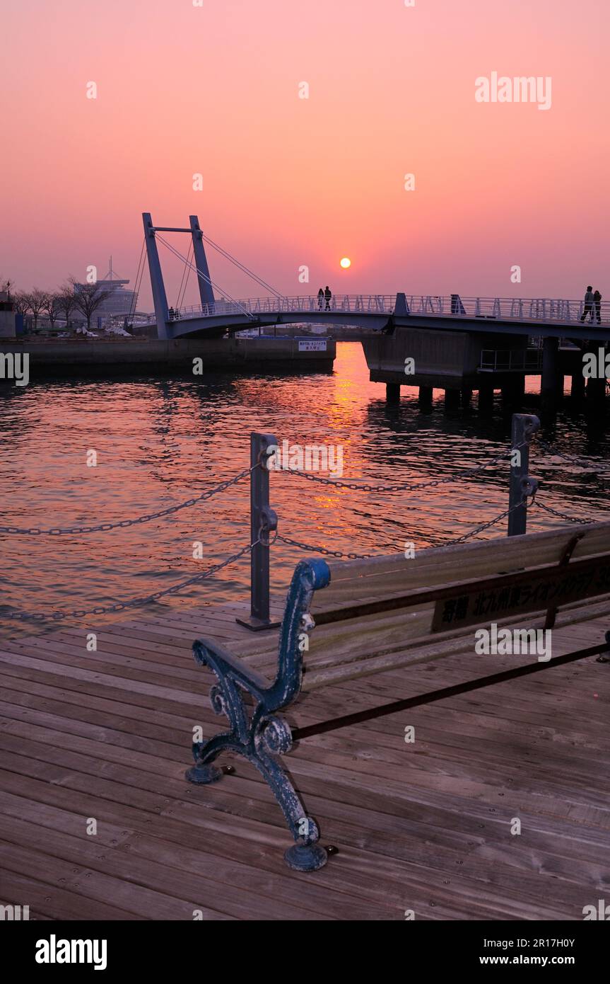 Blue wing moji hires stock photography and images Alamy