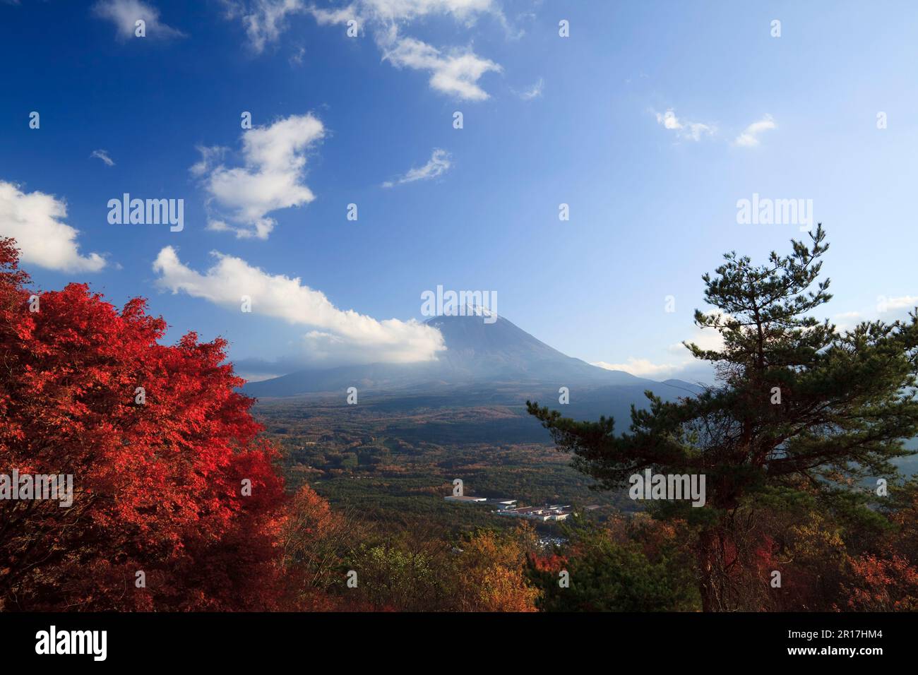 Mt. Fuji and fall foliage seen from Koyodai in Yamanashi Prefecture Stock Photo