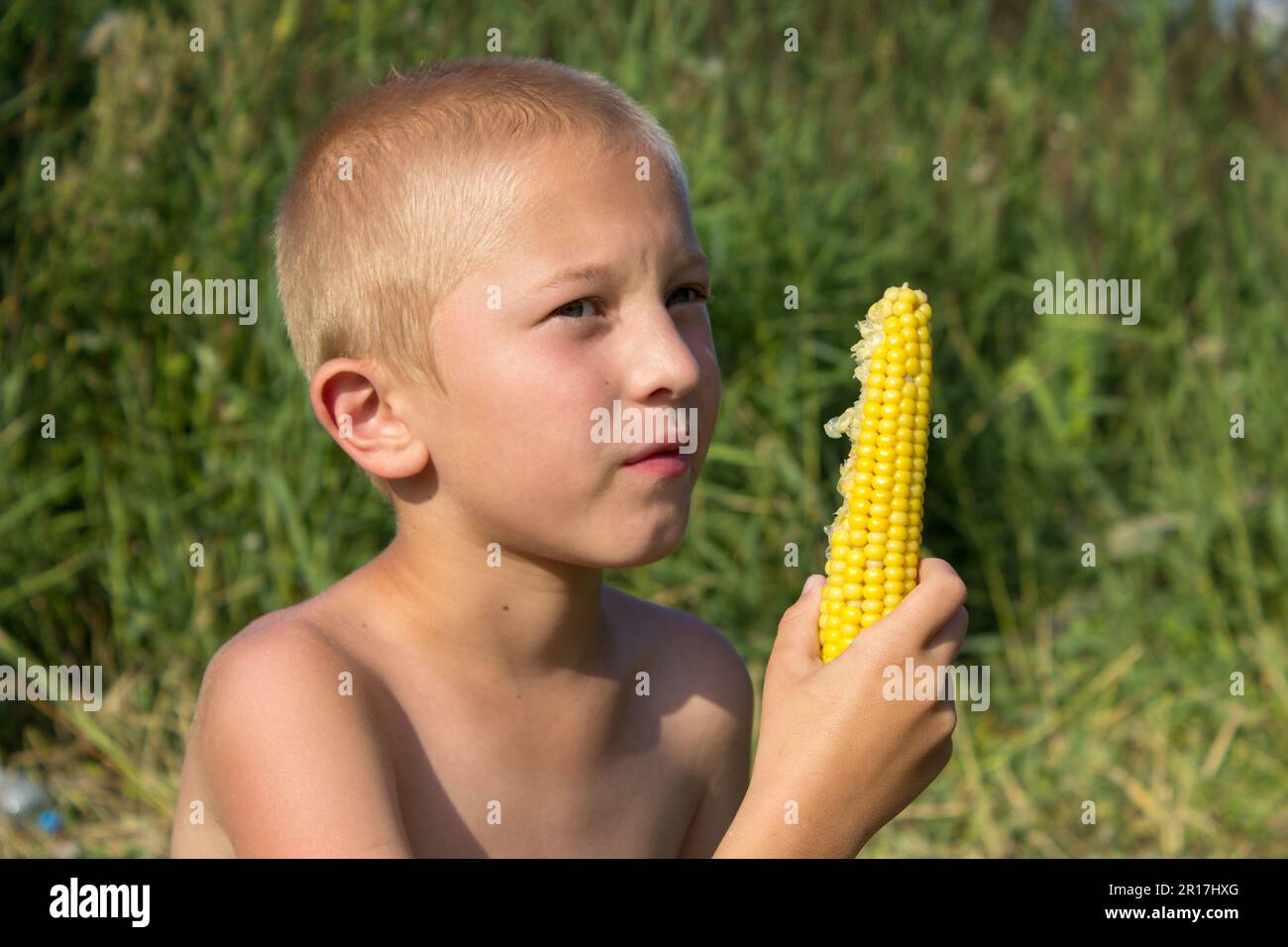 boy eats sweet corn,The boy looks at the sweet corn in his hands to eat Stock Photo
