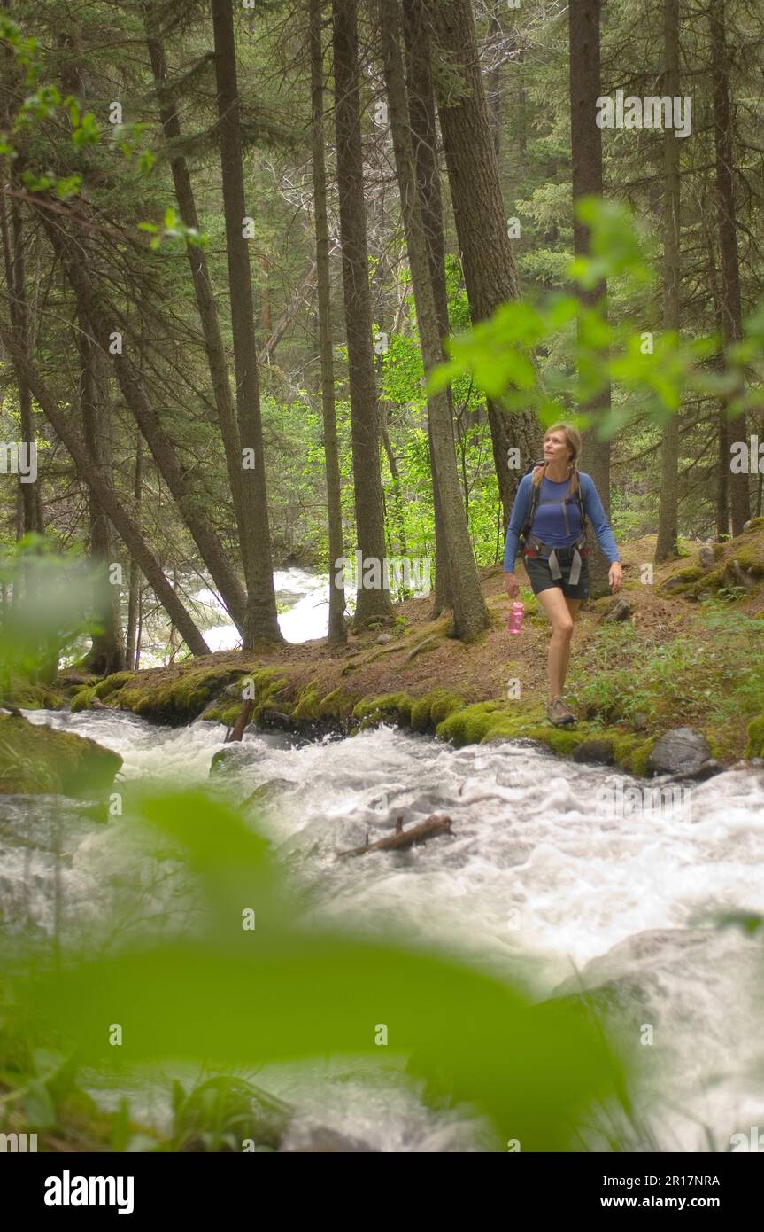 Woman hiking along a creek. Stock Photo