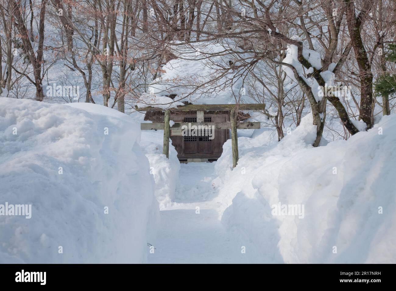 Shirakawa village Hatogaya Hachiman shrine in heavy snowfall Stock Photo