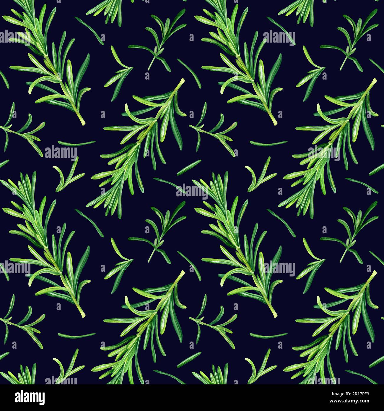 Watercolor seamless pattern with rosemary Rosmarinus officinalis herb ...