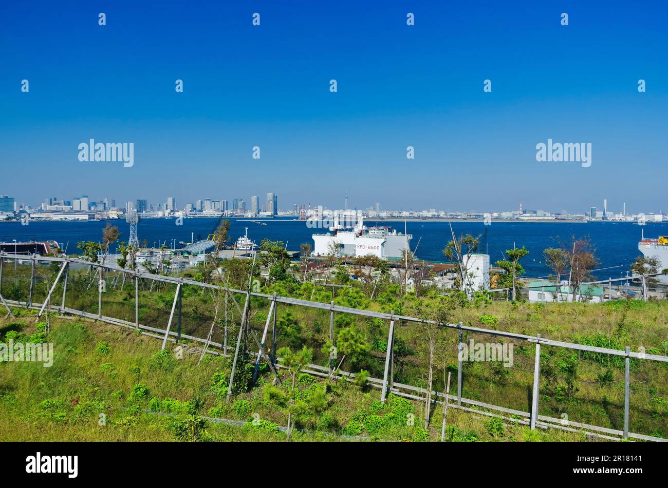 View of Rinkai Fukutoshin and Tokyo sky tree from Tokyo bay greenery Umi no mori Stock Photo