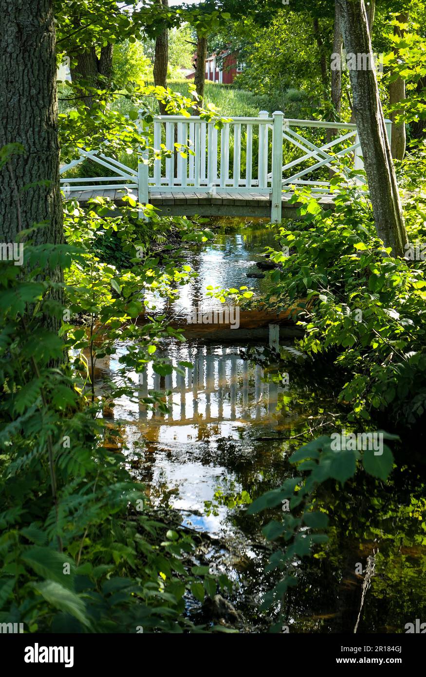 White bridge over a stream during summer Stock Photo - Alamy