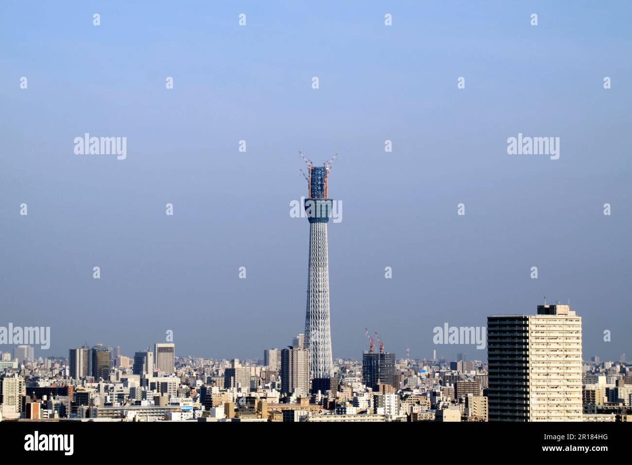 Edogawa tokyo sky tree hi-res stock photography and images - Alamy