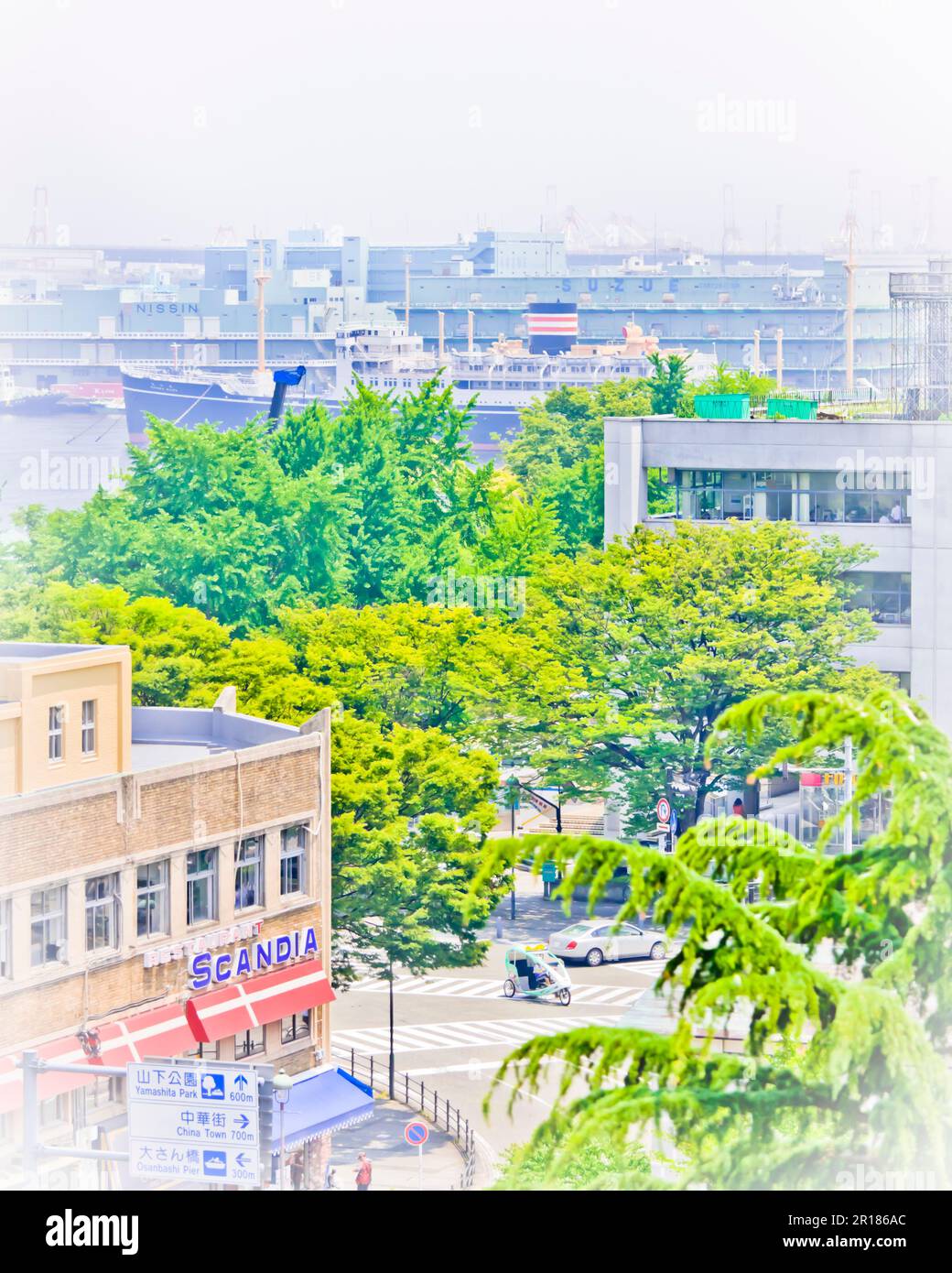 View of Yamashita park from Kanagawa Prefectural Office Stock Photo Alamy