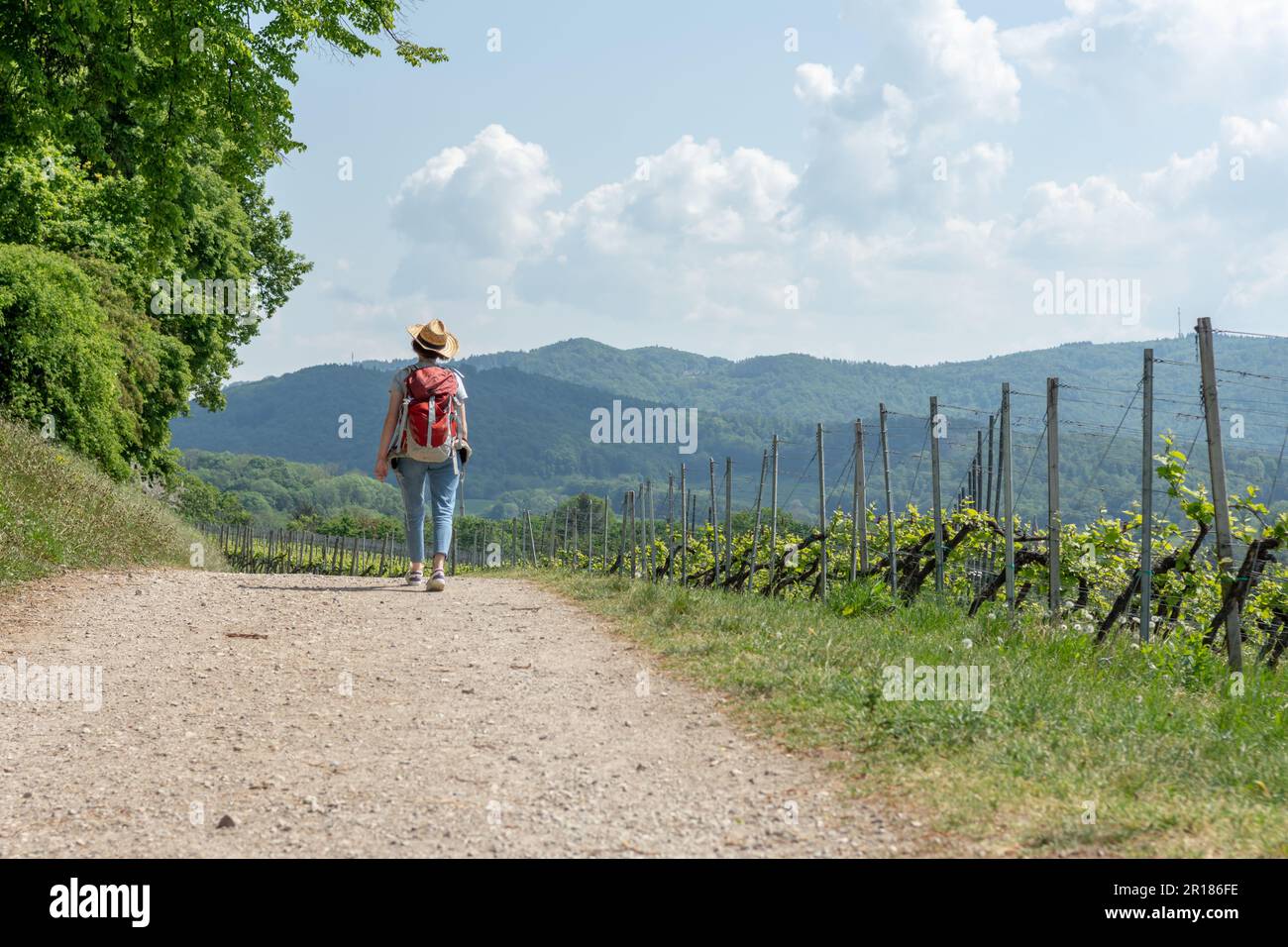 Beautiful young woman hiking hi-res stock photography and images - Alamy