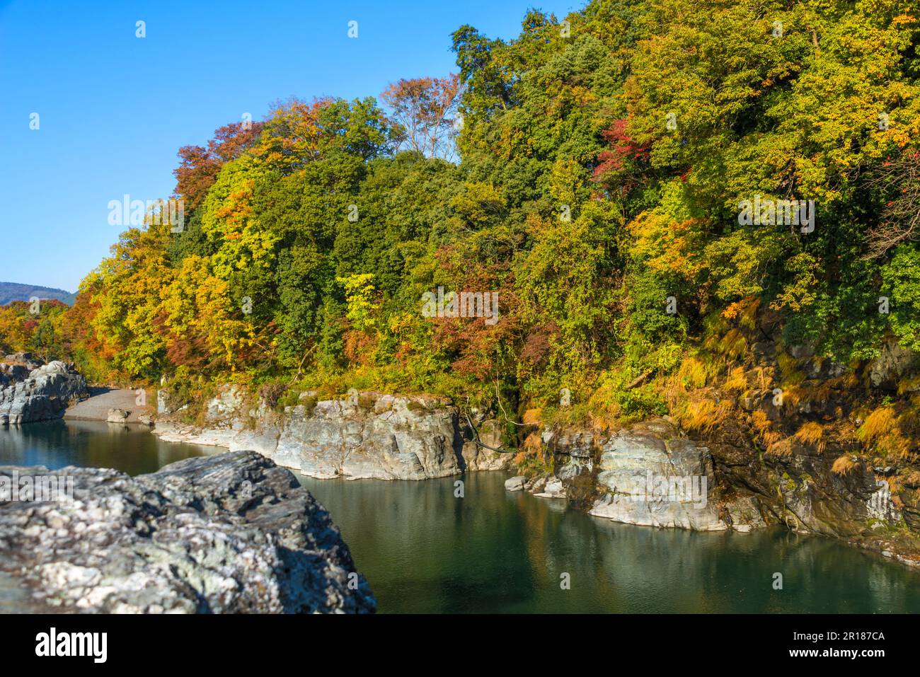 Nagatoro in autumn, Stream of the Arakawa River and a thicket with autumn leaves Stock Photo