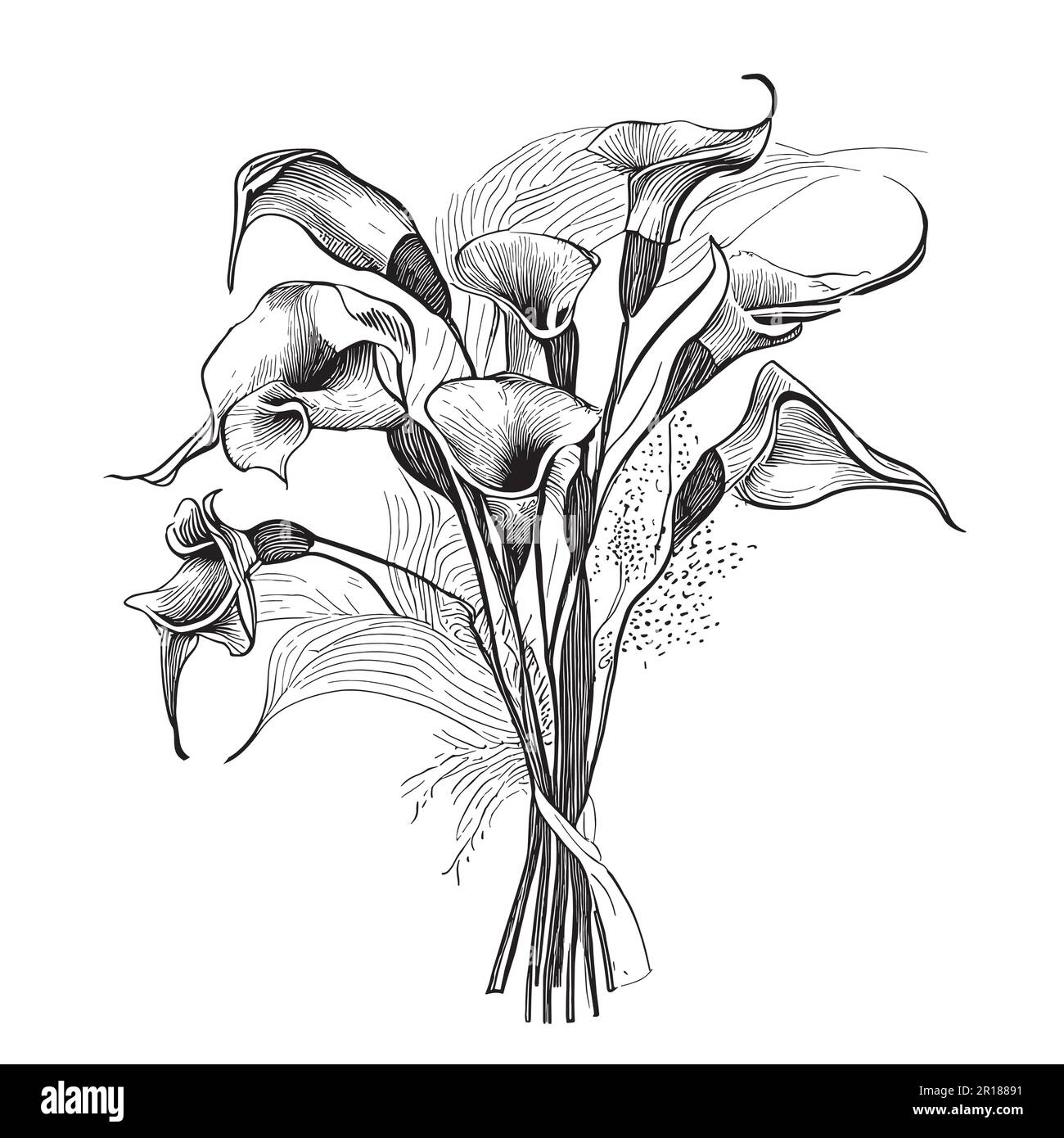 Calla lily bouquet hand drawn sketch in doodle style illustration Stock Vector