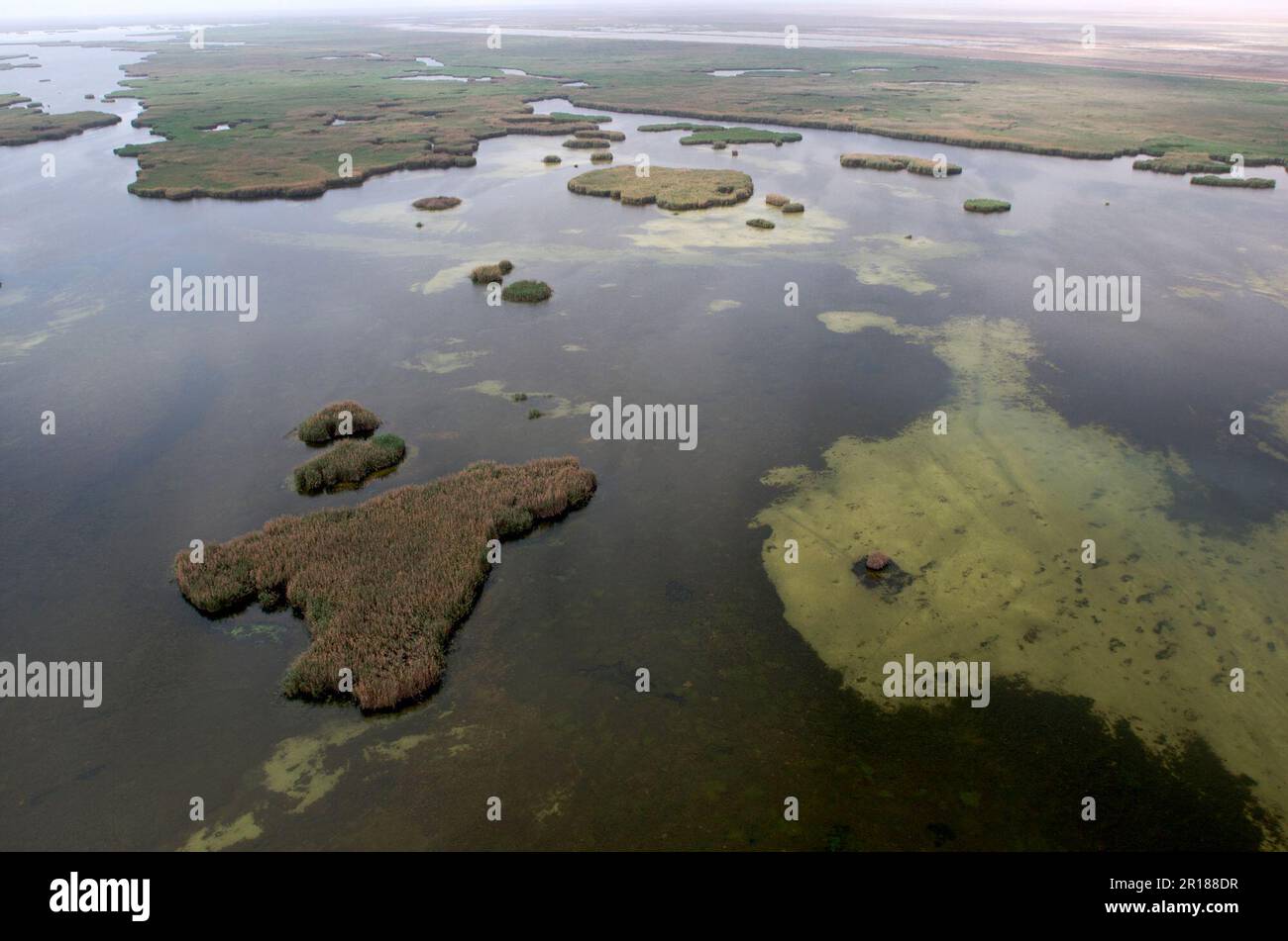 Aerial view of restored marshes near Um Naaj, Southern Iraq Stock Photo