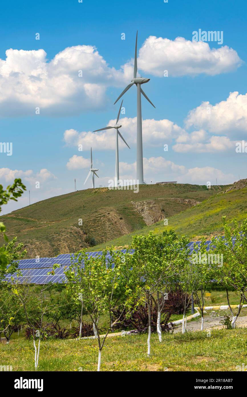 Solar Panels And Wind Turbines In Grassy Field With Sunlight Stock ...