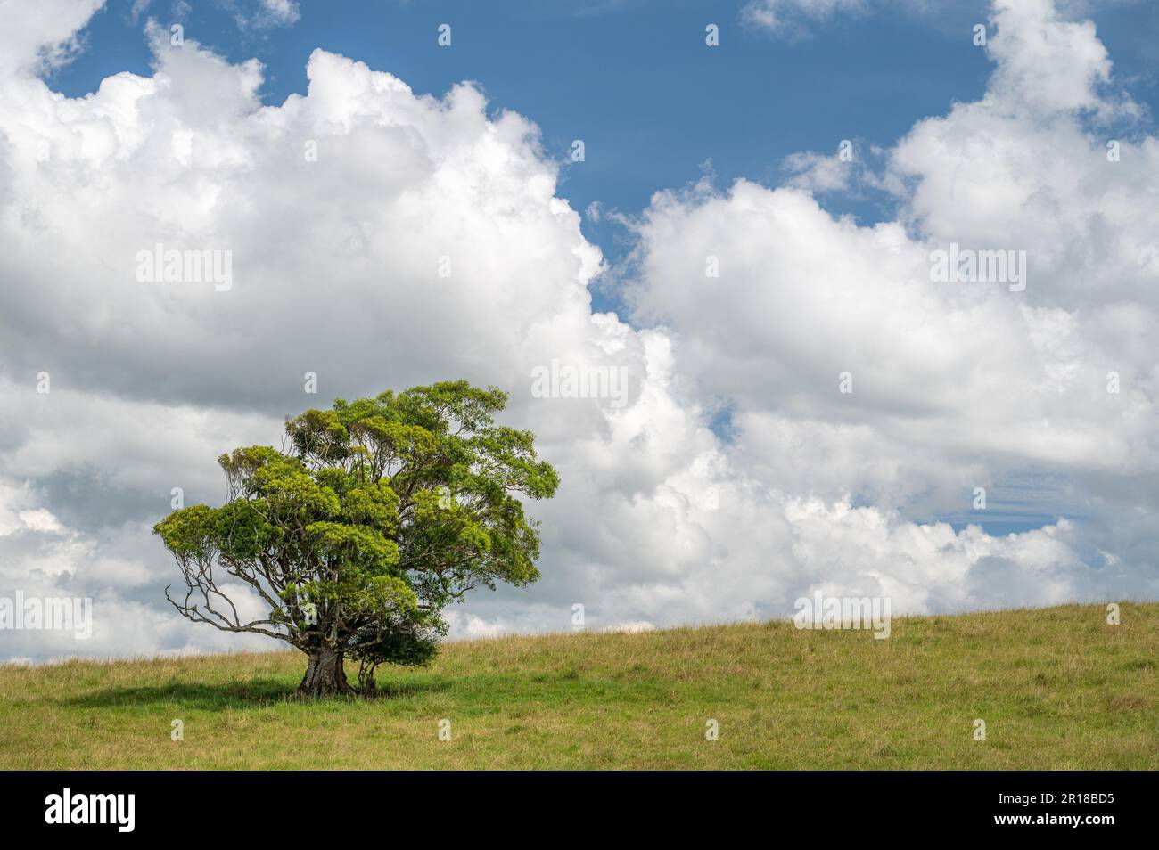 Overlooking a gorgeous landscape  from roadside lookouts on fertile farmlands around Malanda in the Atherton Tablelands in Queensland, Australia. Stock Photo