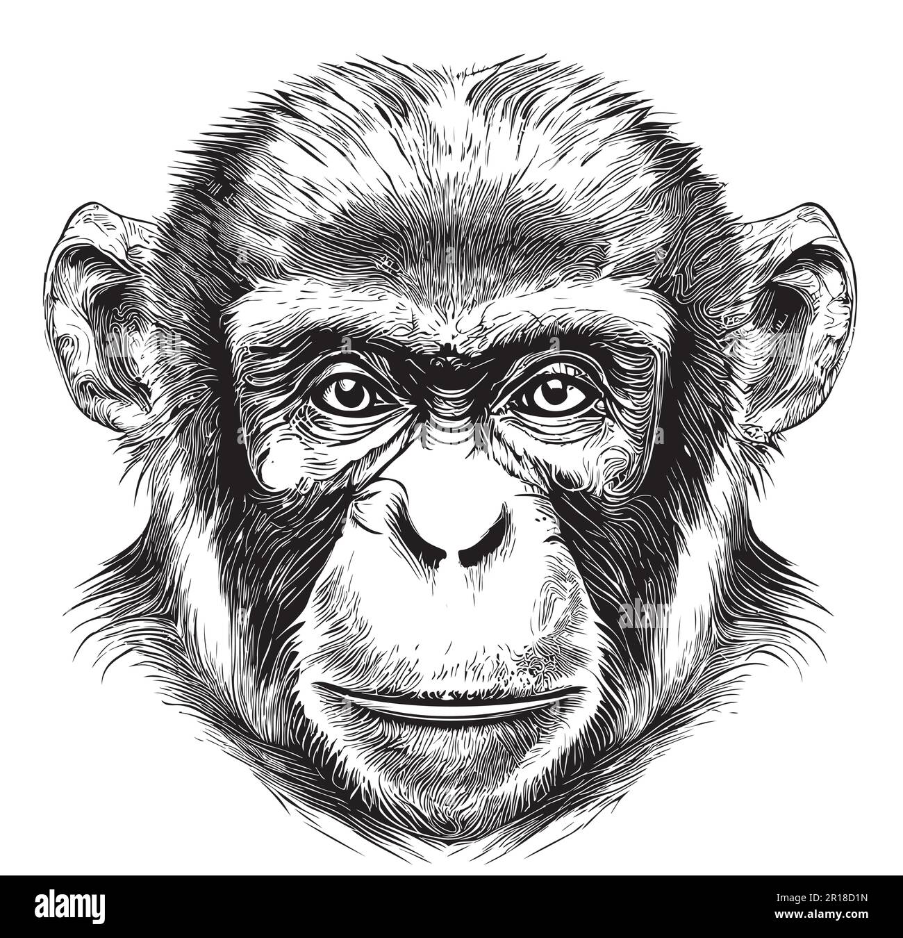 Monkey face sketch hand drawn in doodle style illustration Stock Vector