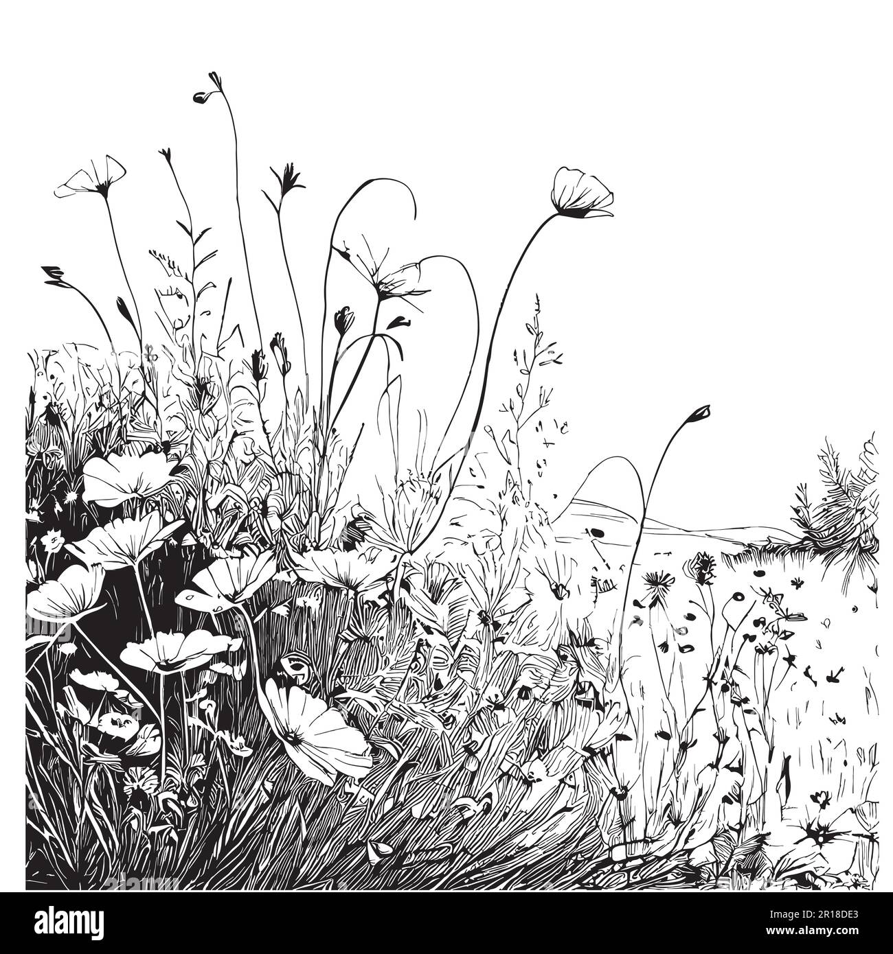 Meadow wildflowers hand drawn sketch in doodle style illustration Stock ...