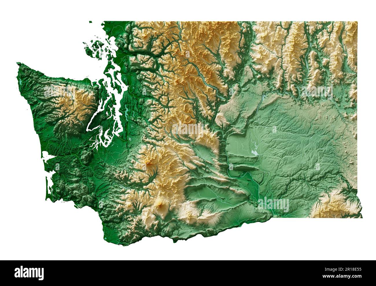 The US state of Washington. Highly detailed 3D rendering of shaded relief map with rivers and