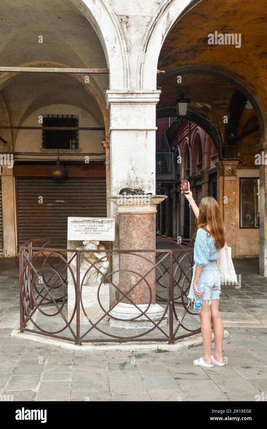 Teenager girl taking pictures to a tabby street cat sleeping on the top of the Gobbo di Rialto (Hunchback of Rialto), historical column, Venice, Italy Stock Photo