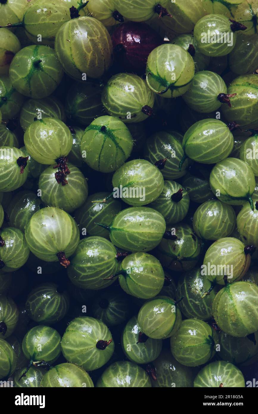 Amla top hi-res stock photography and images - Alamy