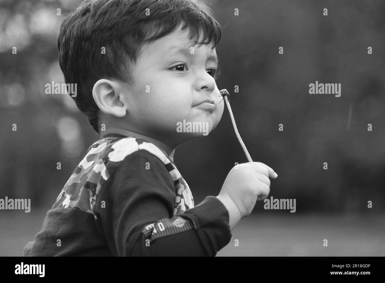 Cute Asian Pakistani Baby Boy at Local Public Park Stock Photo Alamy