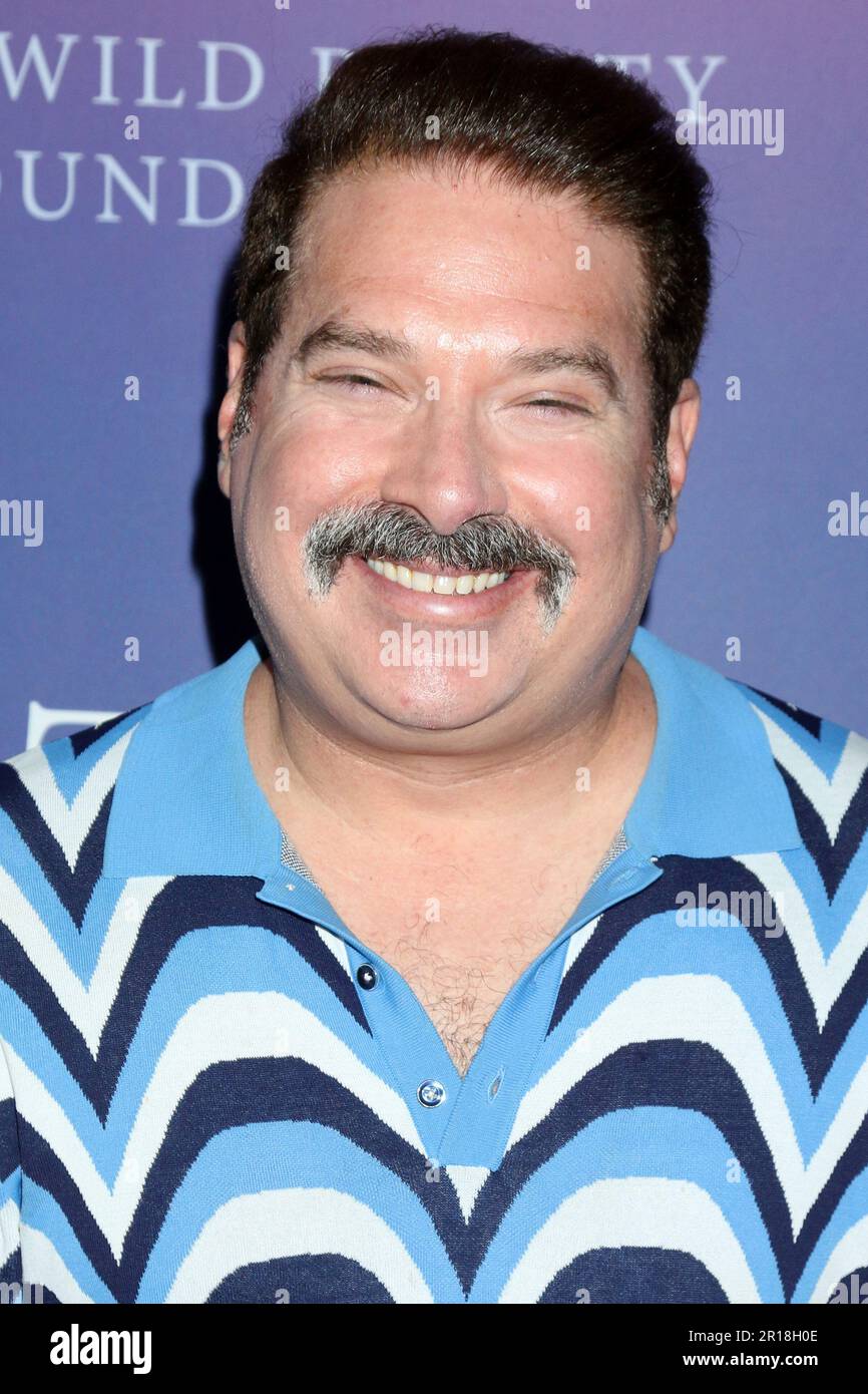 Los Angeles, USA. 11th May, 2023. LOS ANGELES - MAY 11: Joel Michaely at the Wild Beauty - Mustang Spirit of the West Documentary Premiere at the DGA Theater on May 11, 2023 in Los Angeles, CA (Photo by Katrina Jordan/Sipa USA) Credit: Sipa USA/Alamy Live News Stock Photo