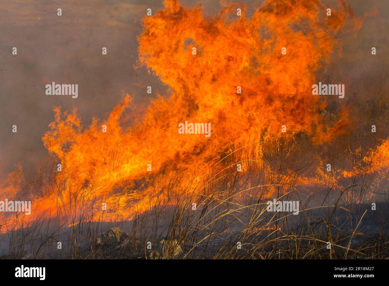 Akiyoshidai controlled burning of mountain Stock Photo Alamy