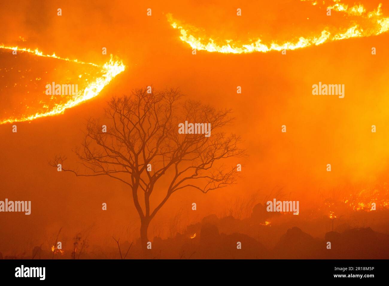 Akiyoshidai controlled burning of mountain Stock Photo Alamy
