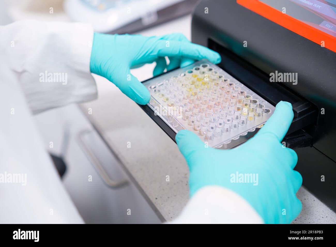 Scientific puts microplate into microplate spectrophotometer to analyze