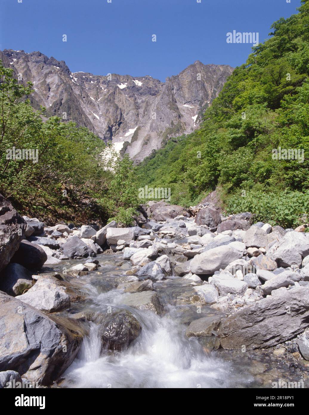 Fresh green Mount Tanigawa and Ichinokurasawa Stock Photo Alamy