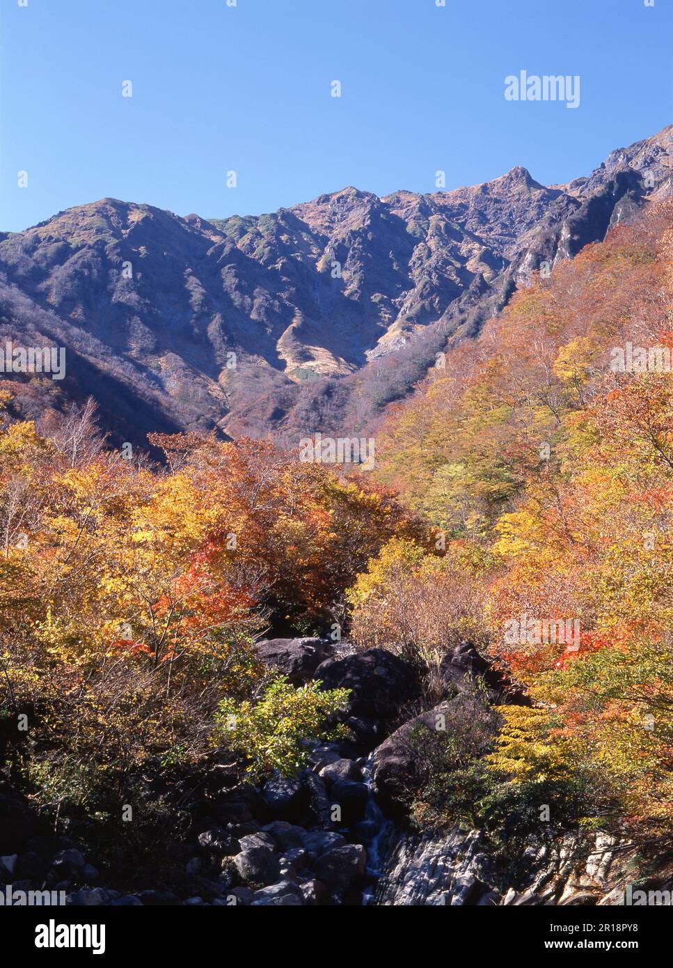 Machiga sawa hi-res stock photography and images - Alamy