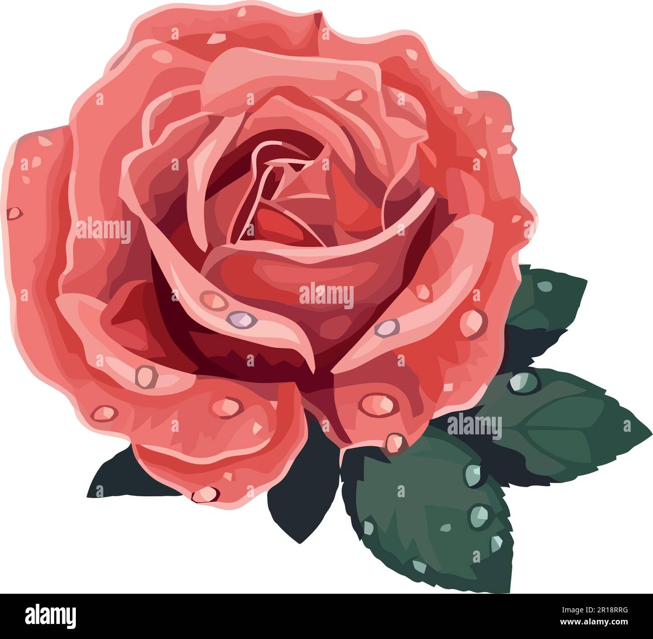 Wet pink rose Stock Vector Images - Alamy