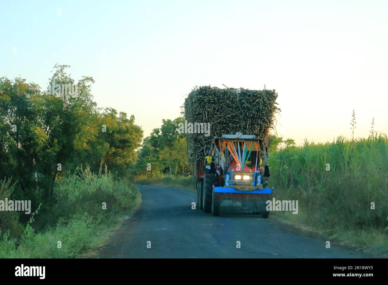 Coimbatore: Overloaded truck causes road to cave in at flower market