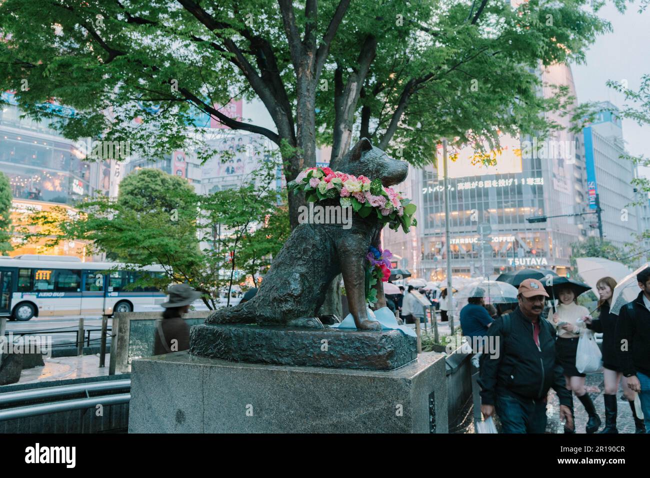 Ueno, Japan, April 7, 2023 Hachiko dog statue in Shibuya, Tokyo Stock