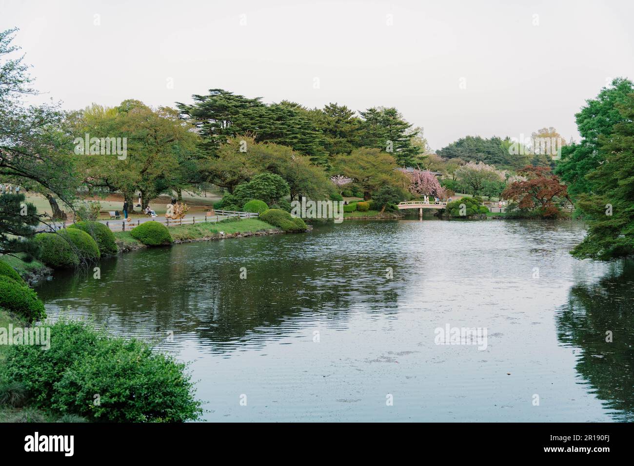 Shinjuku Gyoen National Garden. Tokyo. Japan Stock Photo - Alamy