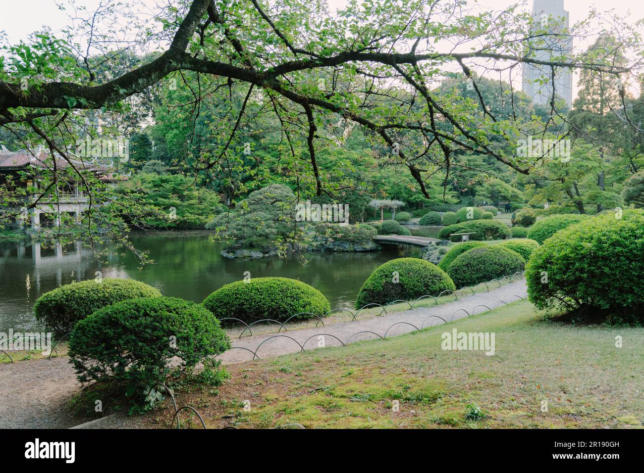 Shinjuku Gyoen National Garden. Tokyo. Japan Stock Photo - Alamy