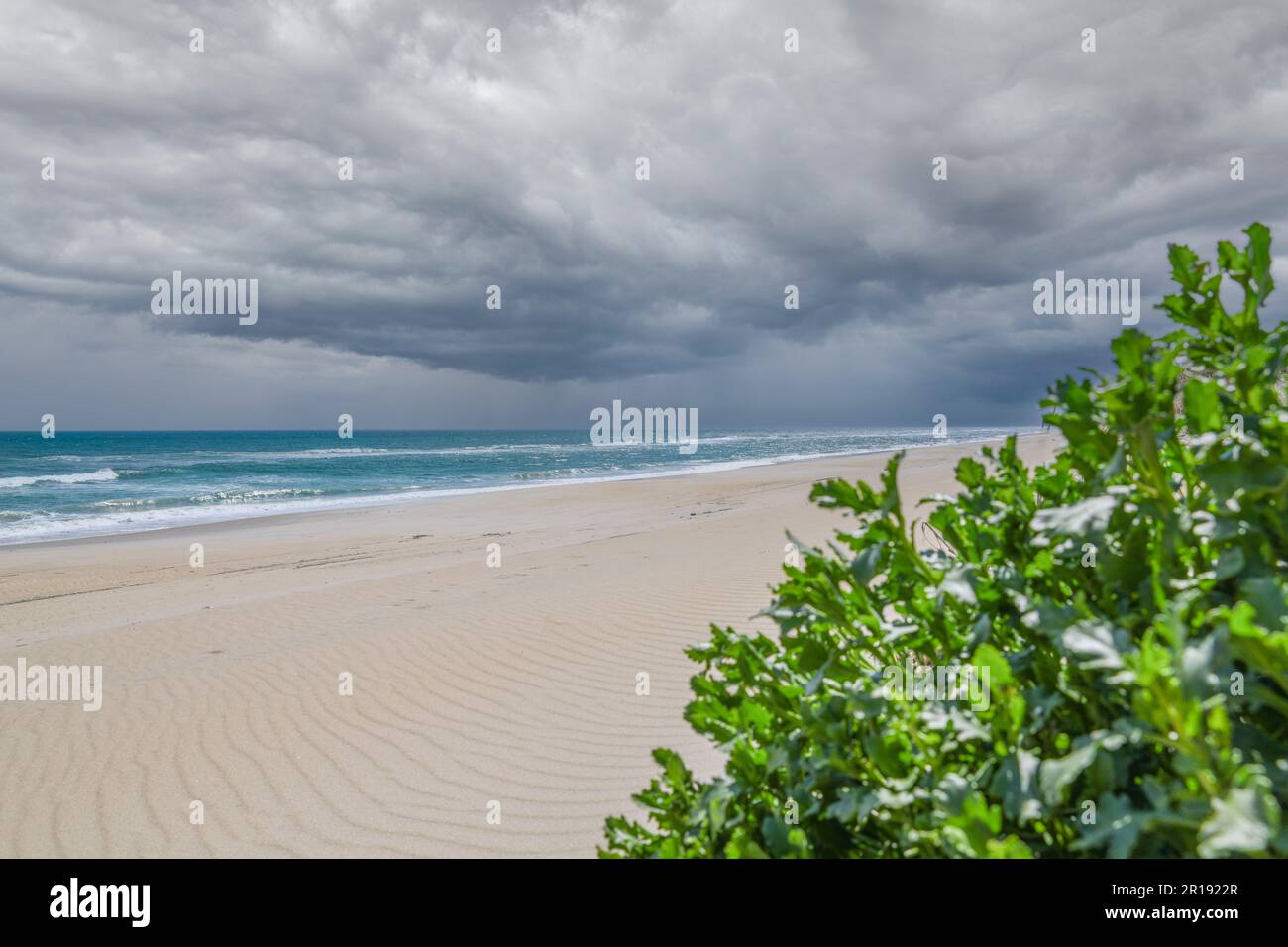 OUTER BANKS NC visual data 6