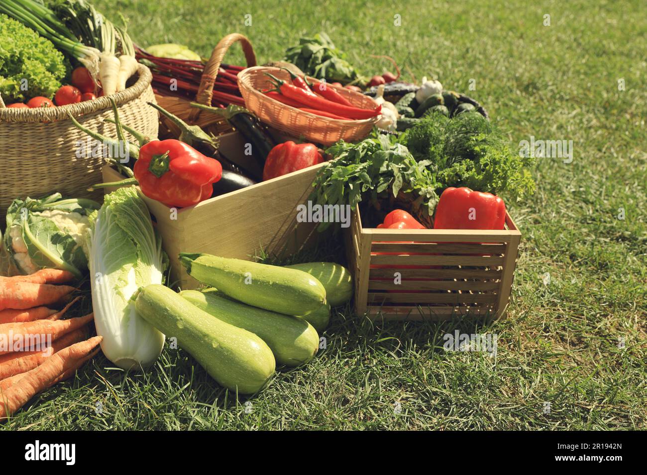 Different fresh ripe vegetables on green grass Stock Photo - Alamy