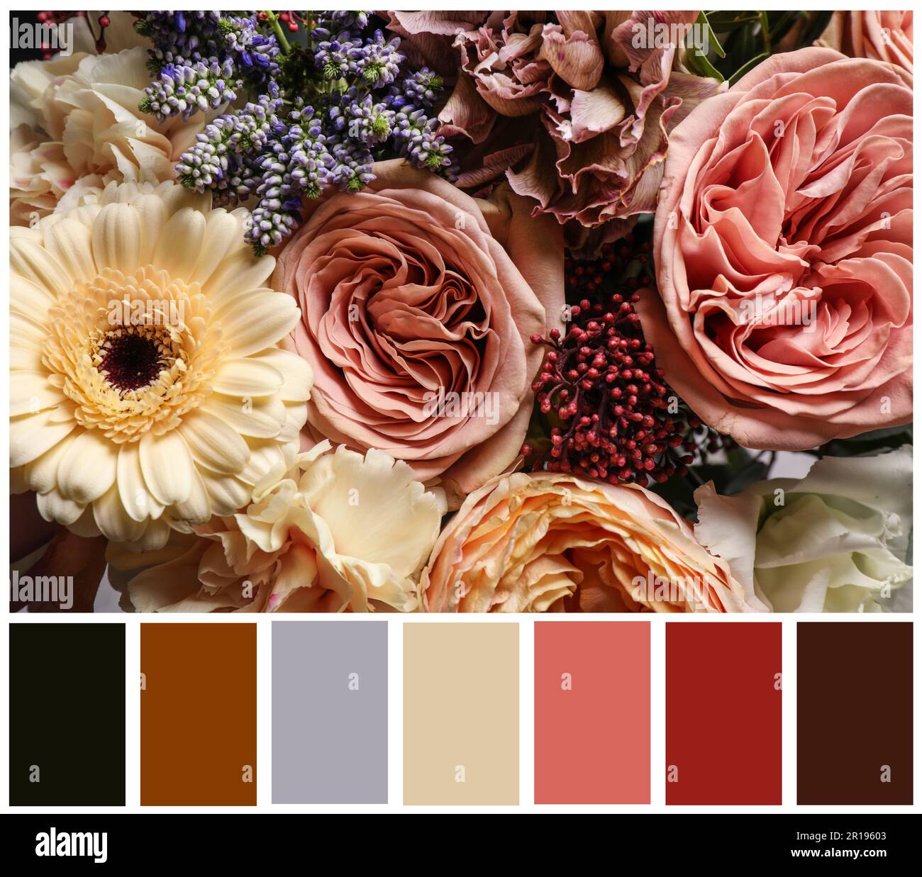 Beautiful fresh flowers and color palette. Collage Stock Photo Alamy