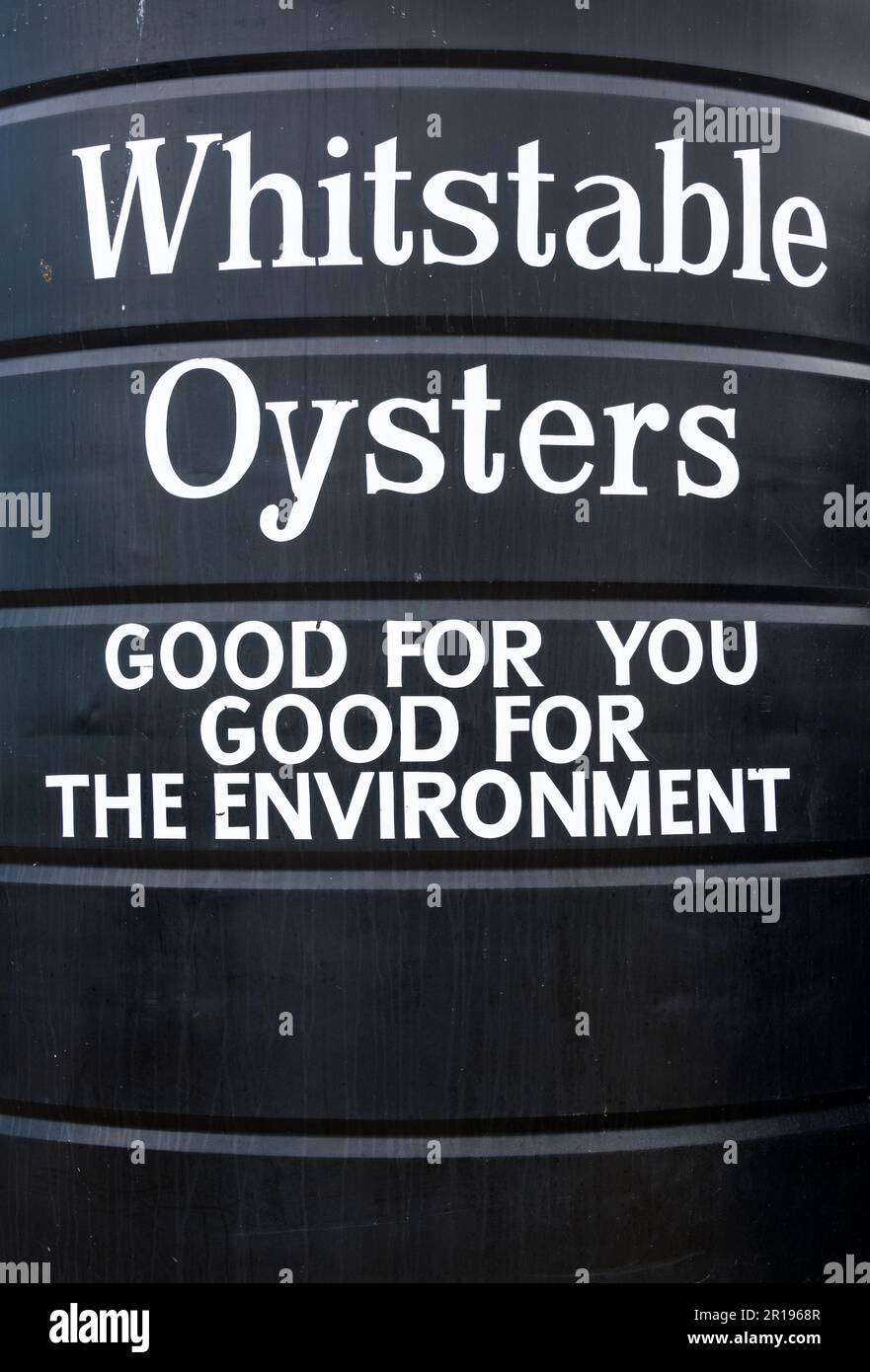 Whitstable oysters, harvested in traditional native oyster beds in
