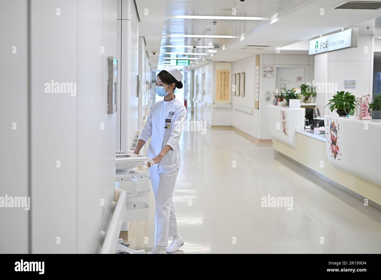 (230512) -- BEIJING, May 12, 2023 (Xinhua) -- Nurse of international medical department Chen Meng distributes medicines to patients at around 11 o'clock a.m. at Peking Union Medical College Hospital (PUMCH) in Beijing, capital of China, May 9, 2023. Friday marks International Nurses Day. The number of nurses in China has experienced consistent growth over the past ten years, with an average yearly increase of 8 percent, according to the National Health Commission (NHC). The total number of registered nurses in China had exceeded 5.2 million at the end of last year, with roughly 3.7 register Stock Photo