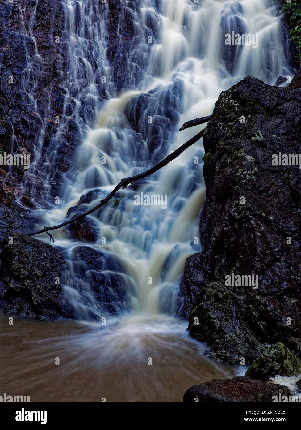 Leaves in a waterfall close up hi-res stock photography and images - Alamy