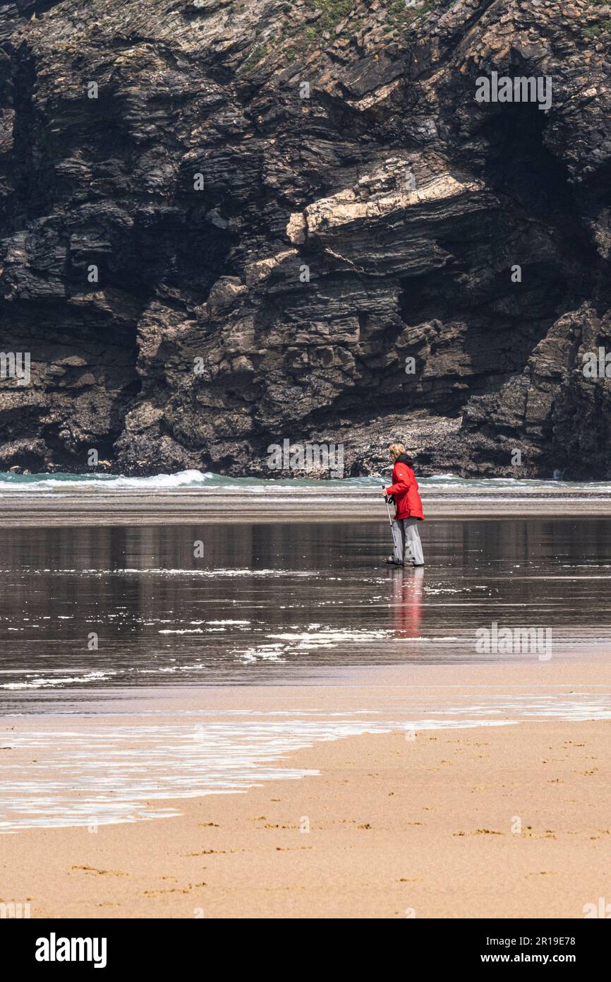 A mature female wearing a bright red coat and using walking poles hiking sticks walking on the shore at Mawgan Porth beach in Cornwall in the UK. Stock Photo