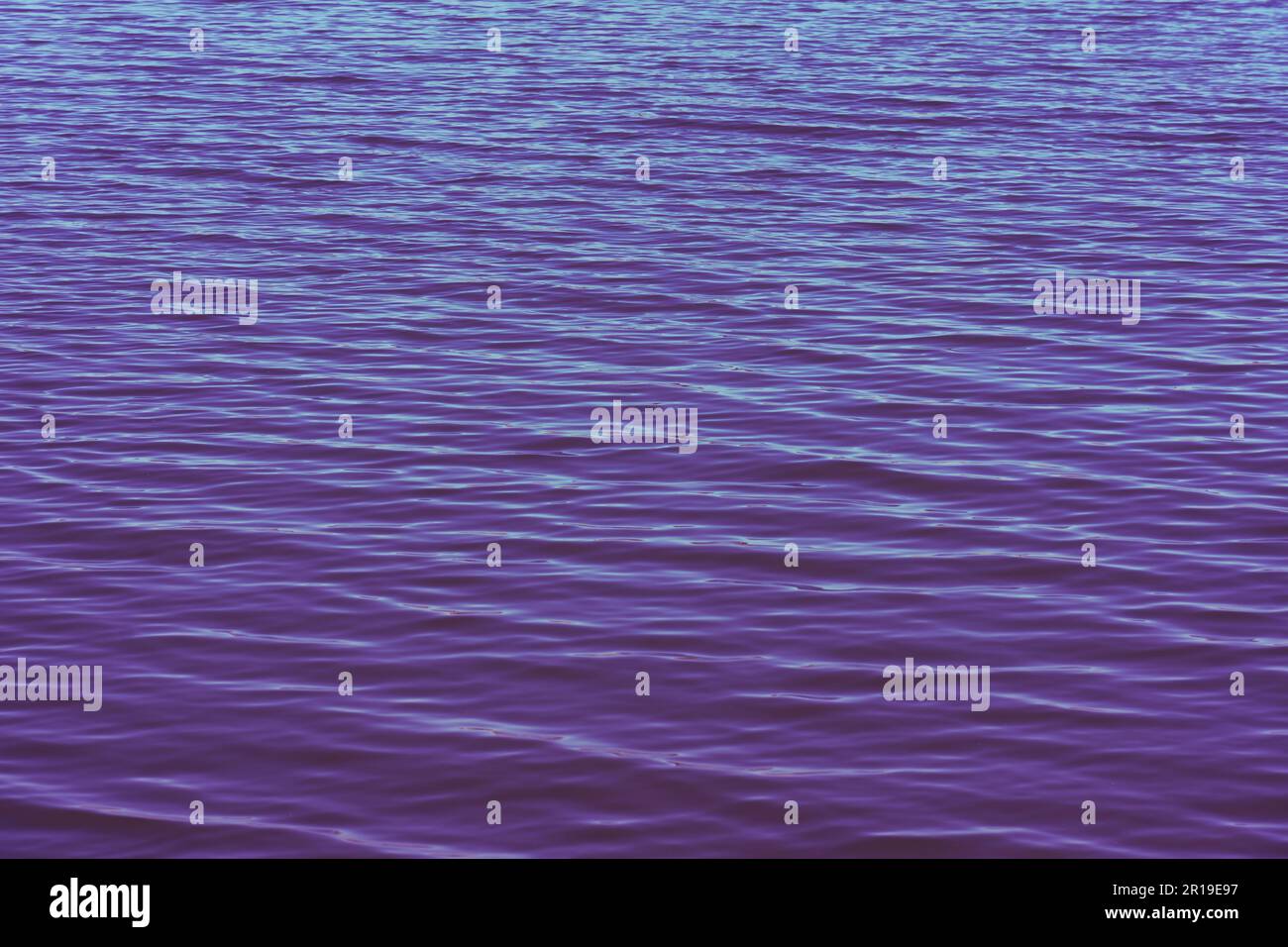 Blue purple water in wavy ripples with smooth surface look of calm and quiet  on  a lake or sea. This scene is peaceful and appears never ending. Stock Photo