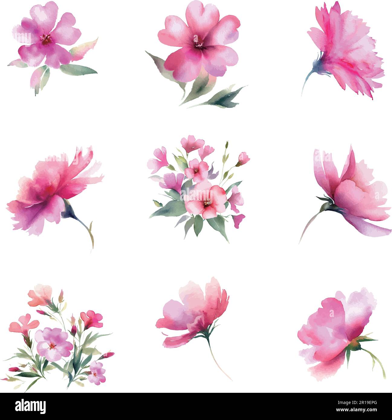 Watercolor pink flowers set. Handmade. Isolated on white background ...
